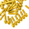 Gold Kawasaki Ninja 650 2009-2011 CNC Crankcase Cover Bolt Kit